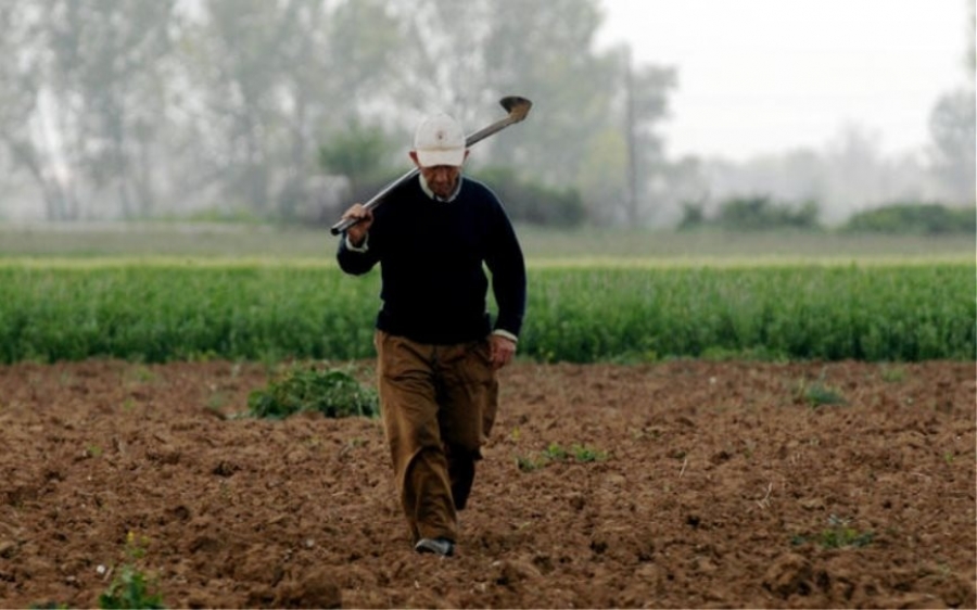 Ε.Α.Σ.: Κίνδυνος απώλειας ιδιότητας για ντόπιους επαγγελματίες ΑγροΚτηνοτρόφους