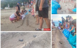 Υπέροχο σκηνικό! Νεογέννητα θαλάσσια χελωνάκια τρέχουν προς την θάλασσα στην παραλία του Λουρδά! (εικόνες/video)