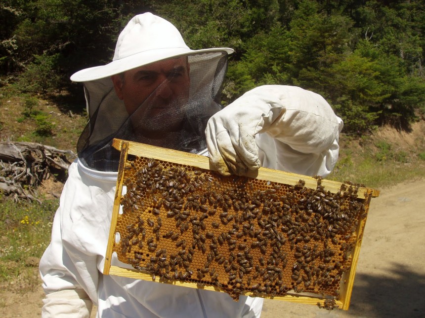 Ανακοίνωση προς τους μελισσοκόμους της Κεφαλονιάς