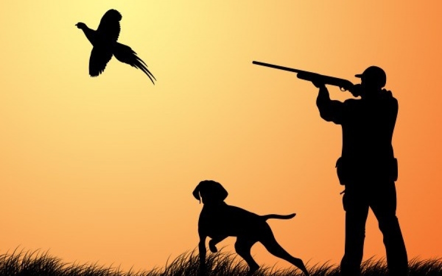 Ο Κυνηγετικός Σύλλογος Αργοστολίου δέχεται προσφορές ασφάλισης για την νέα κυνηγετική περίοδο