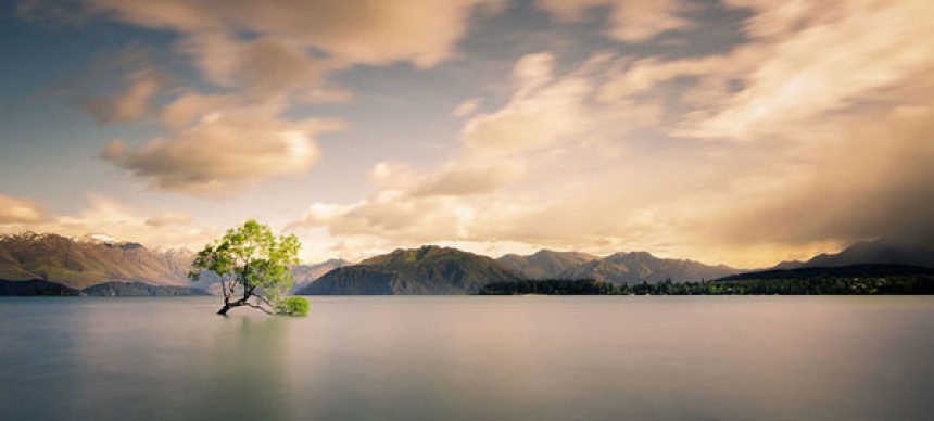 Το “μοναχικό δέντρο” της λίμνης Wanaka!