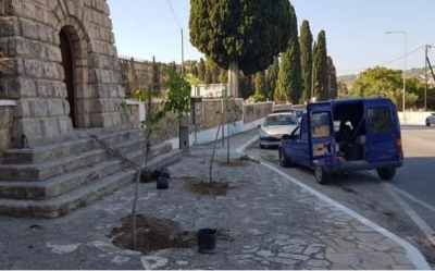 Αργοστόλι: Αντικαταστάθηκαν ξερά κυπαρίσσια στο Δημοτικό Κοιμητήριο του Δραπάνου (εικόνες)