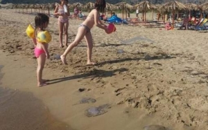 Εντείνεται το πρόβλημα με τις μέδουσες: Ολόκληρο κοπάδι εμφανίστηκε σε παραλία της Πάτρας