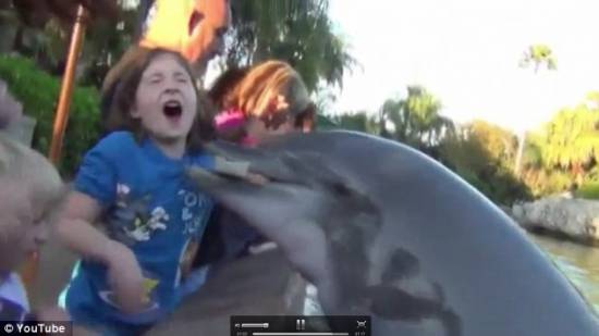 Δελφίνι δαγκώνει το χέρι κοριτσιού (video)