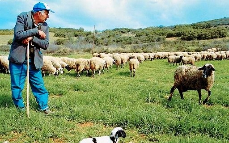 Ε.Α.Σ.: Επίκαιρη Ενημέρωση ντόπιων Κτηνοτρόφων
