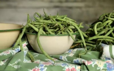 Πράσινα φασολάκια – Τα πλούσια θρεπτικά τους συστατικά και συνταγές για να τα μαγειρέψουμε
