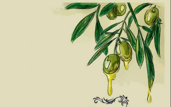 Elaiourgiki Organic Olive Mill: One Step Between Olives and the Extra Virgin Olive Oil