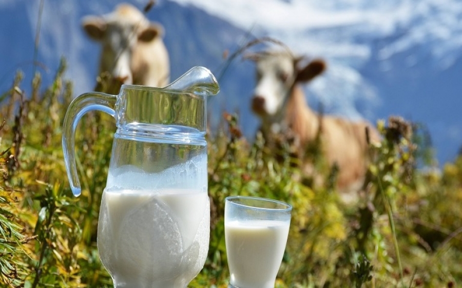 Ε.Α.Σ.: Καλούνται οι ντόπιοι Παραγωγοί Γάλακτος…