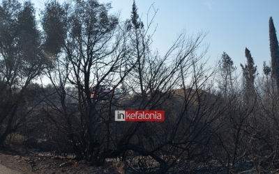 Οι πρώτες εικόνες της μεγάλης φωτιάς στα Σιμωτάτα- Λουρδάτα: Οι φλόγες έφθασαν στις αυλές των σπιτιών