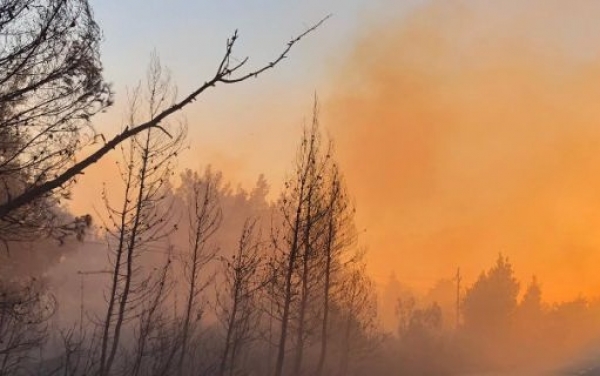 Ανεξέλεγκτη η φωτιά στη Σιθωνία Χαλκιδικής - Καίγεται δάσος, κλειστοί δρόμοι, χωριά χωρίς ρεύμα και τηλέφωνο