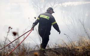 Κεφαλονιά: Αυξημένος ο κίνδυνος πυρκαγιάς την Παρασκευή (χάρτες)