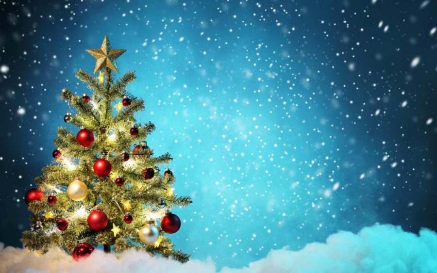 Το Σάββατο ανάβουν το Χριστουγεννιάτικο Δέντρο στην Σκάλα