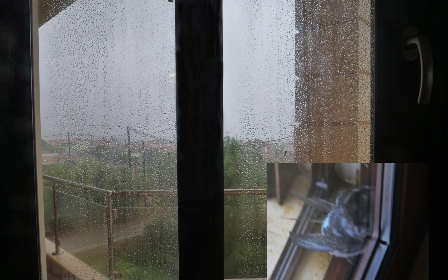 Γιώργος Μεσσάρης: Από το παράθυρό μου βλέπω…