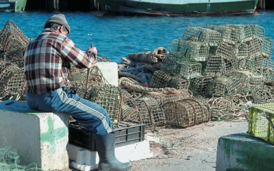 Άσκηση εμπορικής δραστηριότητας από επαγγελματίες αλιείς- παραγωγούς