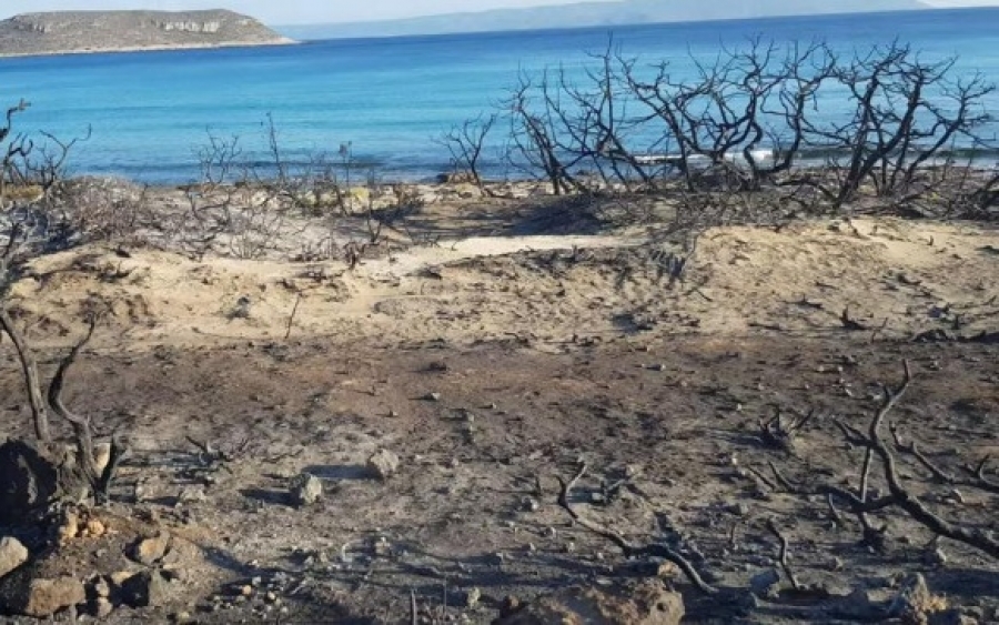 Ελαφόνησος: Η φωτιά έκανε στάχτη το 25% του νησιού [βίντεο]