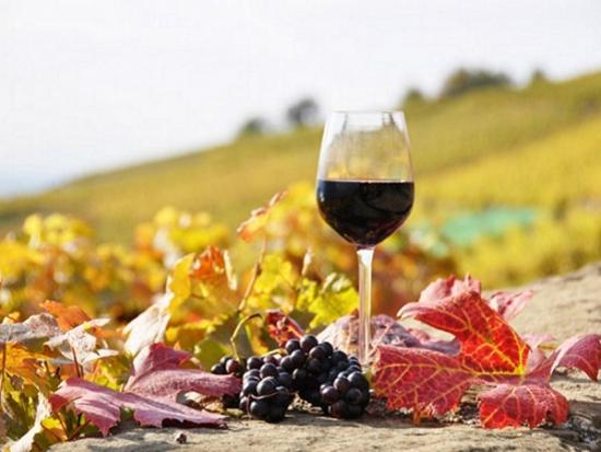 Εξασφαλίζοντας καλής ποιότητας σπιτικό κρασί
