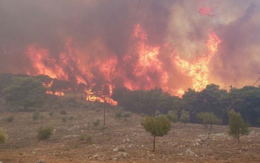Να ληφθούν μέτρα πρόληψης και αποκατάστασης για τις πυρκαγιές σε Ζάκυνθο και Κεφαλονιά