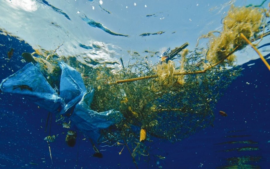 Ο Τηλέμαχος Μπεριάτος γράφει για τη σημασία της προστασίας του θαλάσσιου περιβάλλοντος του Ιονίου