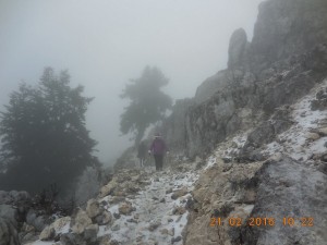 Μια από τις ομορφότερες διαδρομές διέσχισε η Ορειβατική Λέσχη (εικόνες)