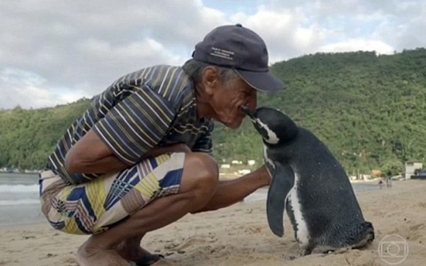 Ο άνδρας που έγινε φίλος με έναν πιγκουίνο