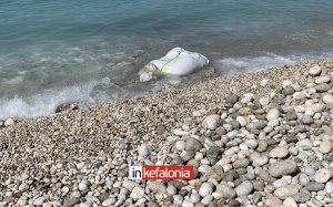 Απίστευτο! Και δεύτερο νεκρό ζώο σε παραλία της Κεφαλονιάς! Άμεση απομάκρυνση από το Δήμο Αργοστολίου (video)