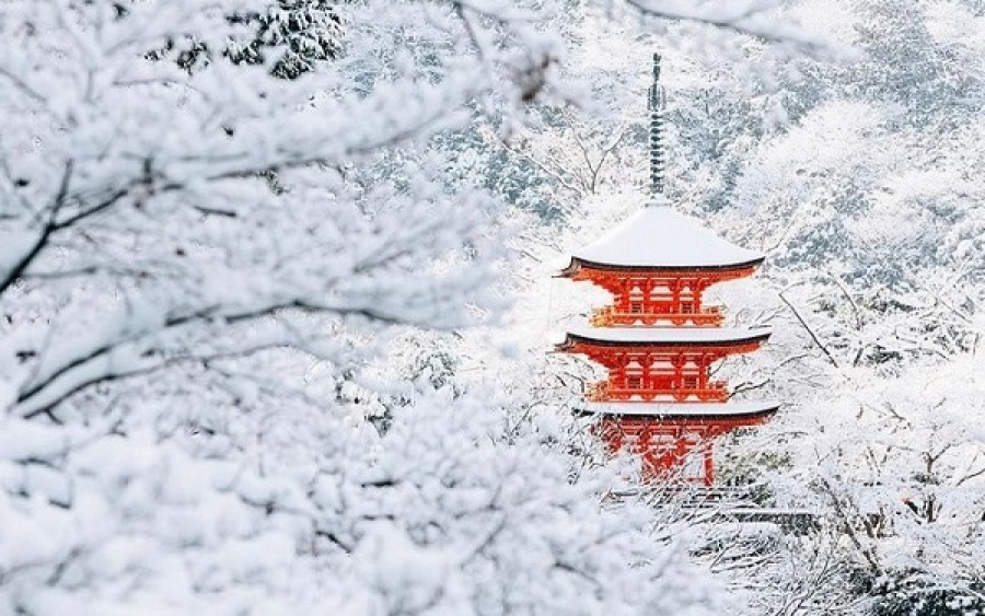 Το χιονισμένο Κιότο στο φακό του φωτογράφου!