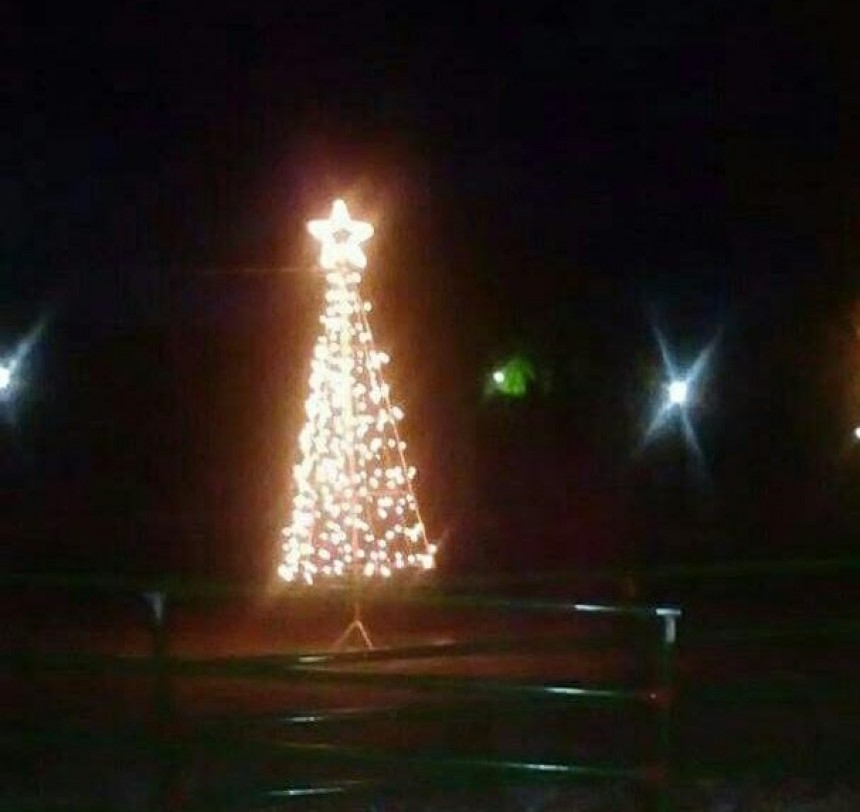 Άναψε το Χριστουγεννιάτικο δέντρο στα Πουλάτα