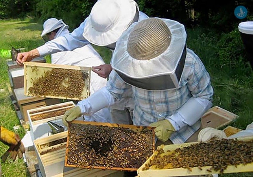 Μελισσοκομικός Συνεταιρισμός Κεφαλονιάς: Ταχύρυθμη εκπαίδευση Μελισσοκόμων