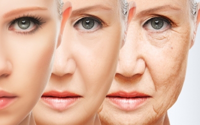 Βρέθηκε η βιταμίνη που καθυστερεί τη γήρανση