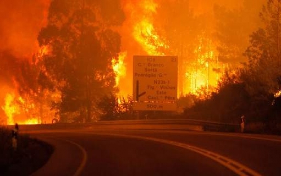 Πυρκαγιά κόλαση στην Πορτογαλία -Τουλάχιστον 57 νεκροί, πολλοί παγιδεύτηκαν σε ΙΧ [εικόνες]