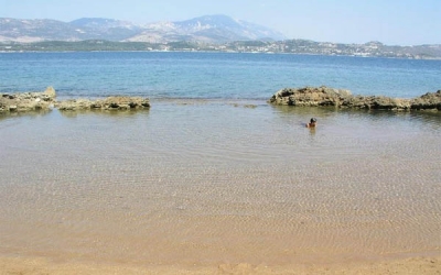 Το ΚΔΑΠ «Στέγη» Ληξουρίου συμμετέχει στον εθελοντικό καθαρισμό της παραλίας «Φύκια»