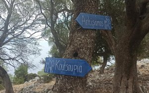 Η Ορειβατική Λέσχη πάει Αντίσαμο - Παραλία Κουτσουπιάς