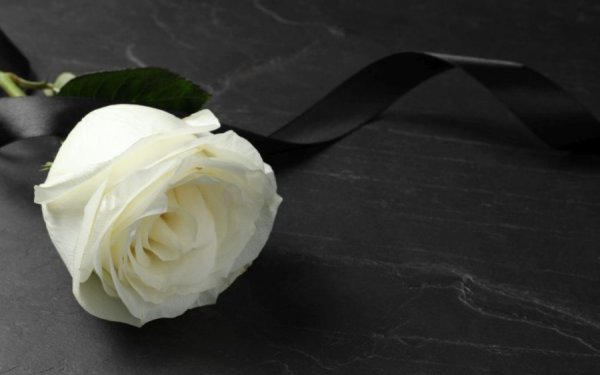 Σπυρίδων Θεοτοκάτος: Στον αγαπητό φίλο και συνεργάτη Μάρκο Αυλωνίτη