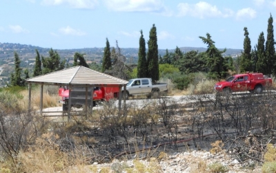 Νέα επιστολή κατοίκου σχετικά με τις αποψιλώσεις στα χωριά και τις πυρκαγιές