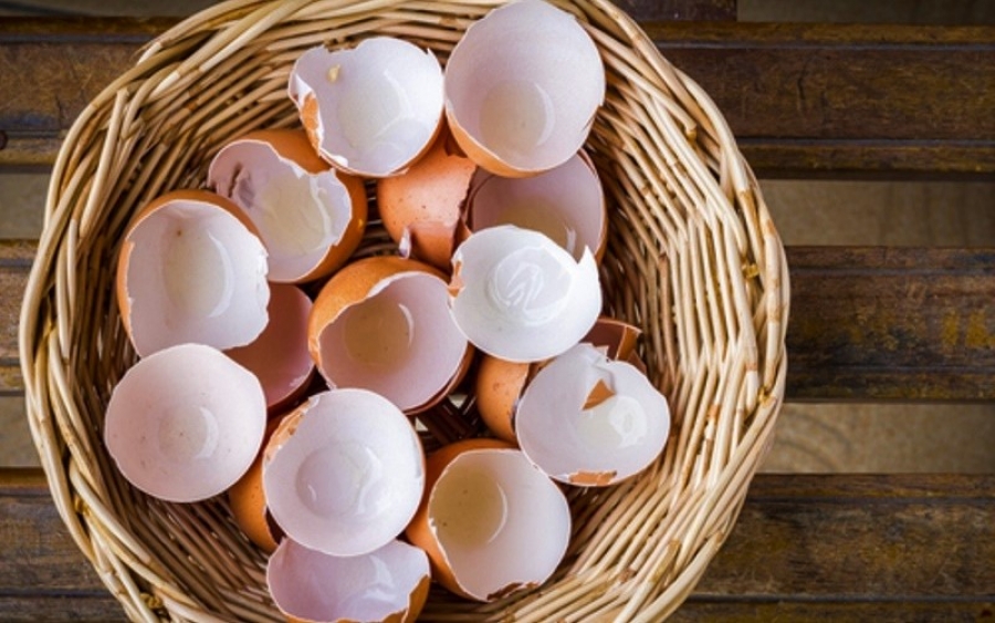 Γιατί δεν πρέπει να πετάτε τα τσόφλια από τα αυγά - Δεν πάει ο νους σας