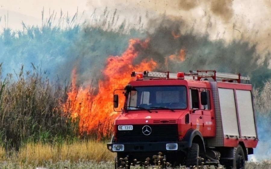 Υπό πλήρη έλεγχο η φωτιά στις Πλατειές - Έκαψε 200 στρέμματα δασικής έκτασης! (Ανανεωμένο)