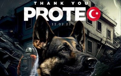 Σεισμός στην Τουρκία: Πέθανε εν ώρα καθήκοντος ο Proteo, σκύλος διασώστης που έφτασε από το Μεξικό