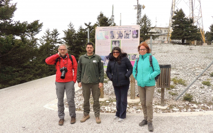 Επίσκεψη στον Εθνικό Δρυμό Αίνου - Στην θέση «Χιονίστρα» στο βιότοπο του στενότοπου ενδημικού είδους της Viola cephalonica