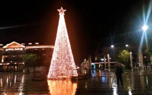 Αργοστόλι: Το Χριστουγεννιάτικο δέντρο της πλατείας άναψε ξανά! (εικόνα)