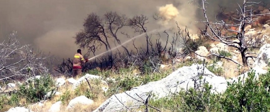 Σχεδόν ολοκληρωτική η καταστροφή στα μαστιχόδεντρα στη νότια Χίο.Σε ύφεση η φωτιά