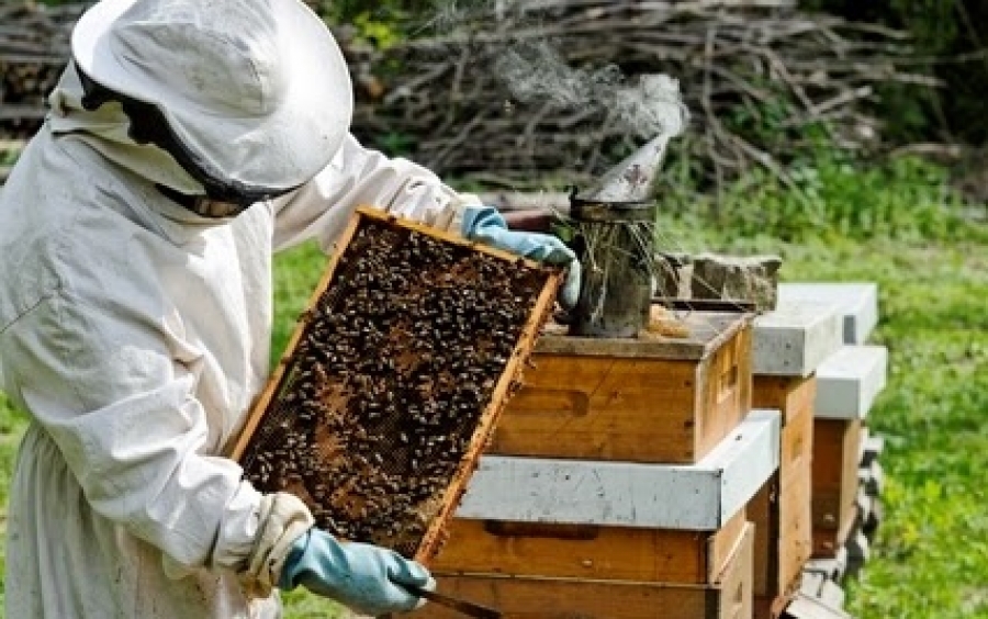 Ανακοίνωση Μελισσοκομικού Συνέταιρισμου