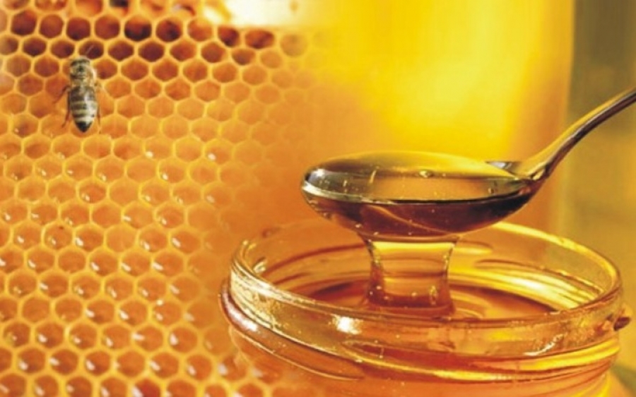 Ε.Α.Σ. : Τα κινέζικα μέλια απειλούν την βιωσιμότητα της εγχώριας μελισσοκομίας