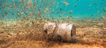 Νανορομπότ: Οι υποβρύχιοι «μαχητές» που θα καθαρίσουν τις μολυσμένες θάλασσες