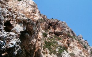 Απόψε: Εκδήλωση στο Ληξούρι «Σπήλαια και Αρχαιότητες της Παλικής: Η περίπτωση της Δρακοσπηλιάς»