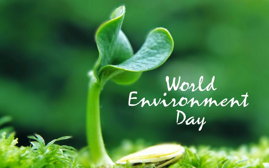 Στις 5 Ιουνίου ο εορτασμός της Παγκόσμιας Ημέρας Περιβάλλοντος