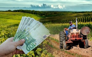 Ε.Α.Σ. : Πόση αγροτική επιδότηση θα μοιραστούν φέτος οι παραγωγοί