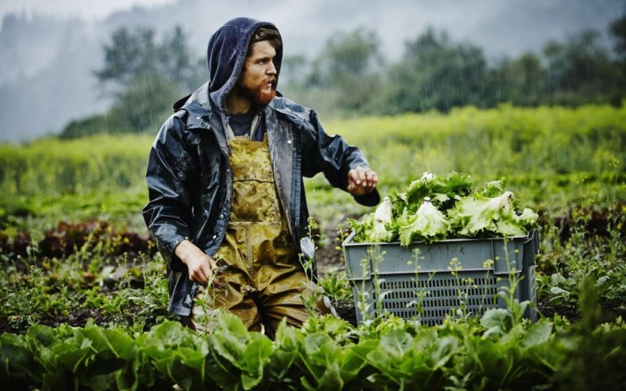 Πώς οι νέοι αγρότες μπορούν να γλιτώσουν από το καθεστώς ΦΠΑ