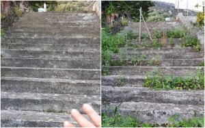 Μαρκόπουλο: Καθαρίστηκε η σκάλα που οδηγεί στο προσεισμικό σχολείο - &quot;Μήνυμα αγάπης&quot; από την Διονυσία Μενεγάτου (εικόνες)