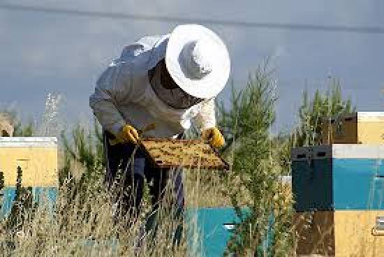 Εκπαίδευση μελισσοκόμων στην Περιφερειακή Ενότητα Κεφαλονιάς