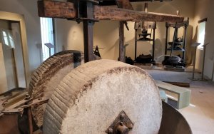 Λειτουργεί ξανά το Μουσείο Ελιάς στα Μακρυώτικα - Το ωράριο λειτουργίας